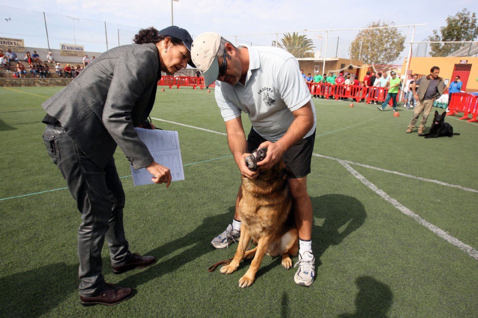  XXXII Monográfico del Perro Pastor Alemán
