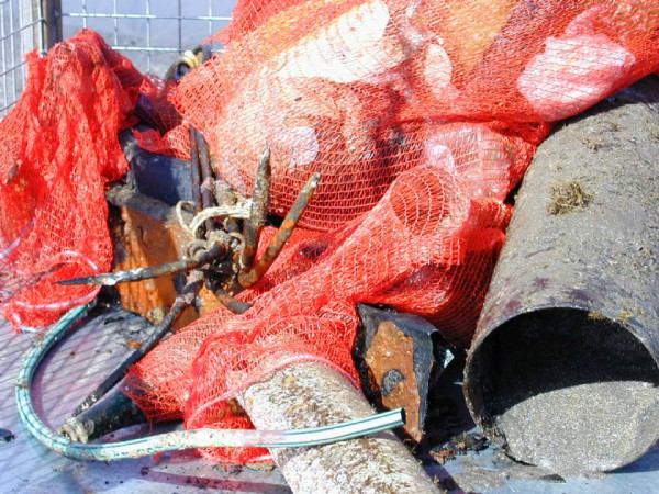 La concejalía de Juventud colaborará este sábado en la limpieza del fondo marino y del litoral de La Caleta  