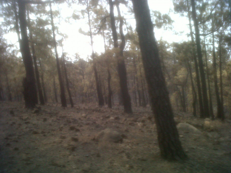 Incendio en Adeje