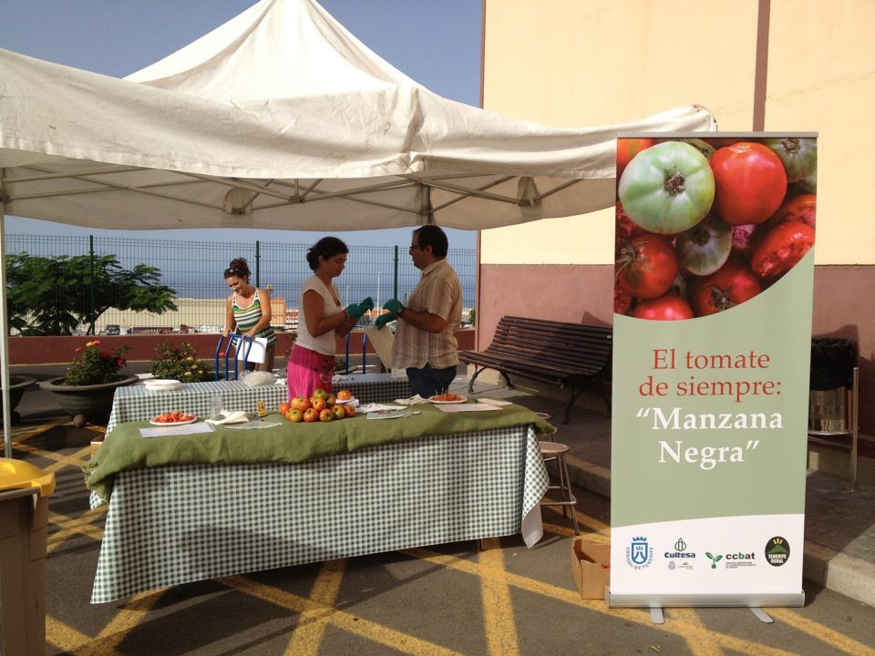 Éxito en la degustación de tomate de la variedad "Manzana Negra" 
