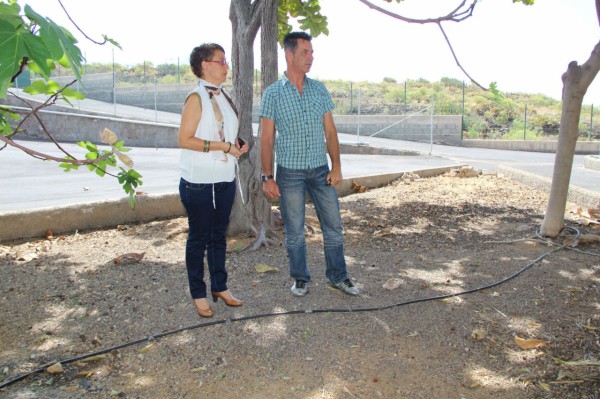 La concejalía de Medioambiente acondiciona los jardines del colegio de Armeñime