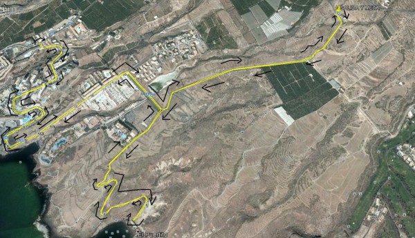 I Carrera Solidaria Cruz Roja Adeje 