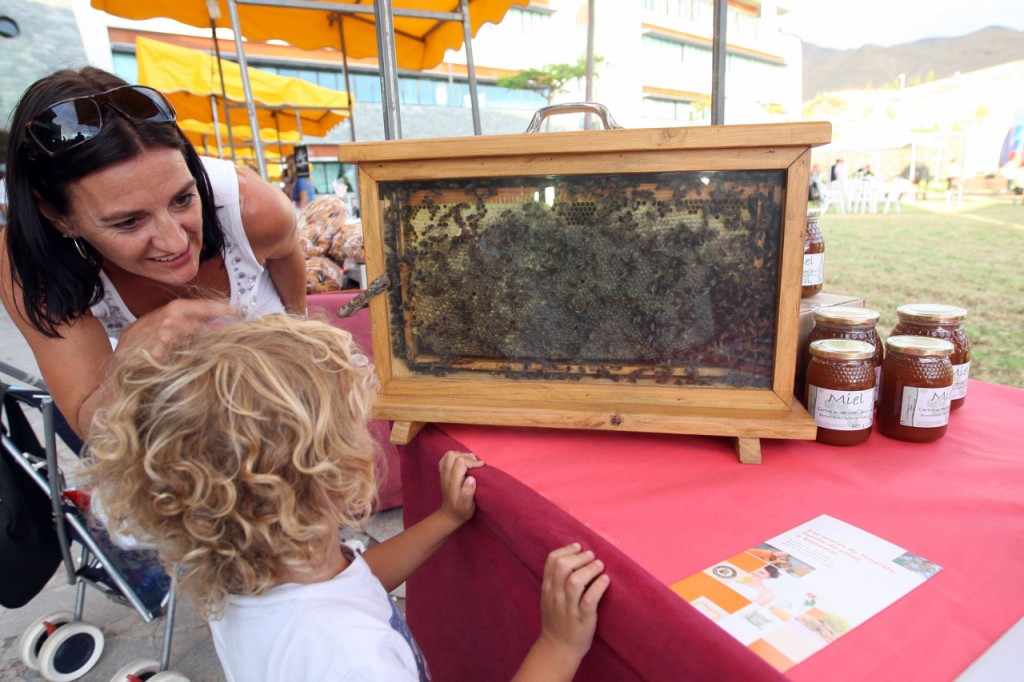 Feria Gastronómica de Adeje