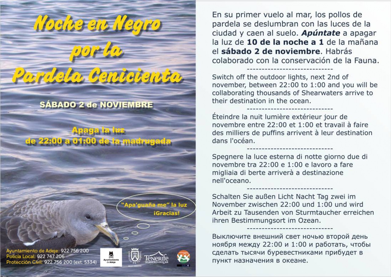 Adeje se suma un año más a la campaña "Noche en negro por la Pardela Cenicienta"