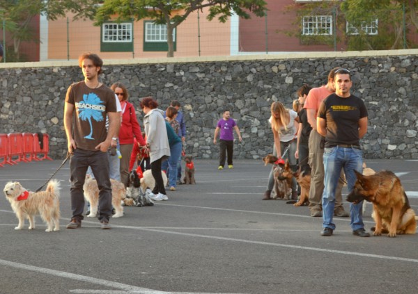  El curso de adiestramiento canino llega a la fase de prácticas