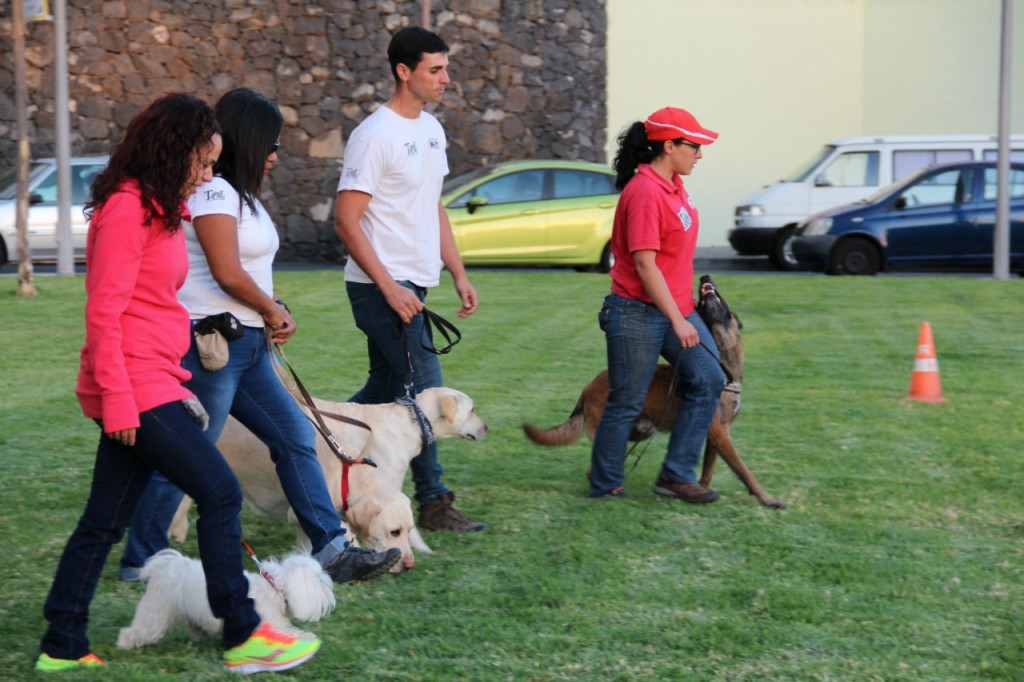 La campaña "Adeje limpia y saludable" estará este jueves en Tijoco - La Hoya