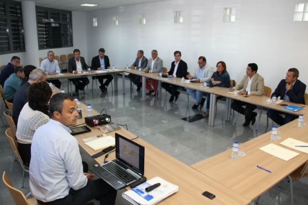 Titsa presenta a los alcaldes del sur la reorganización de las líneas
