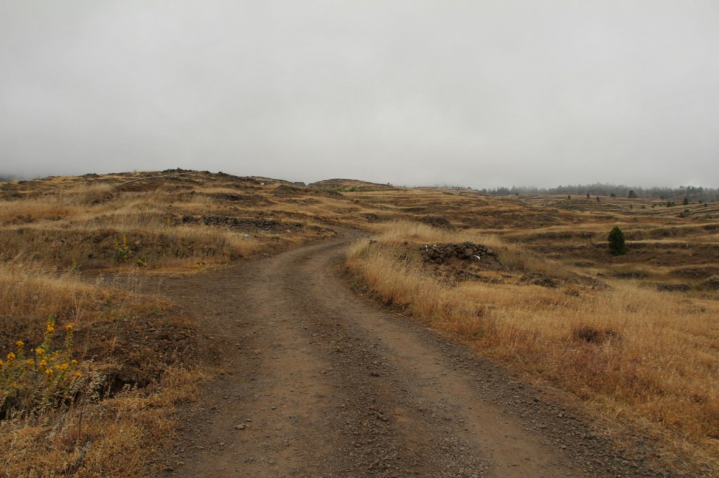 El Ayuntamiento rehabilita 15 km de caminos agrícolas en las medianías del municipio