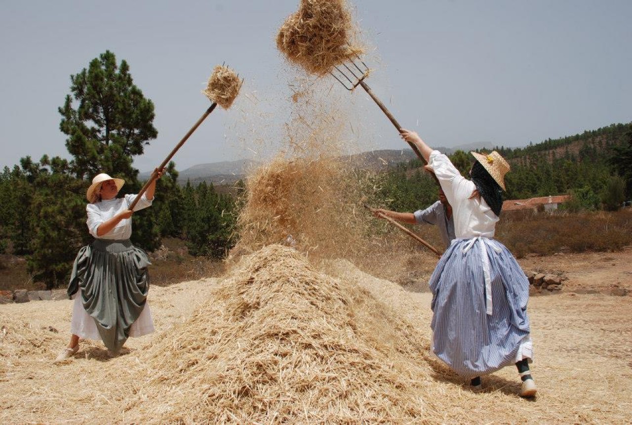 Las VII Jornadas Etnográficas de Taucho versarán sobre la "Cultura del Cereal"