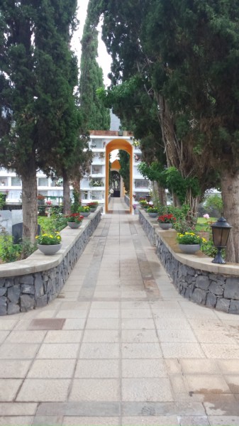 El Ayuntamiento engalana el cementerio con motivo del 