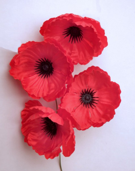 Adeje se suma a la celebración del ''Día del Recuerdo'' en homenaje a las víctimas de las guerras mundiales