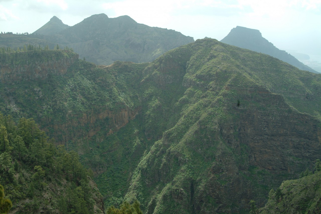 La comisión mixta Cabildo-Ayuntamiento acuerda la reapertura del sendero en el Barranco del Infierno