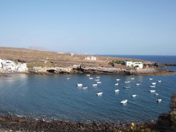 Adeje y la Asociación Canaria por un Océano Sostenible unen esfuerzos para preservar el espacio marino de El Puertito