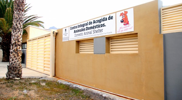 El Centro de Acogida de Animales abrirá sus puertas al voluntariado