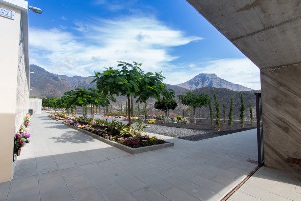 El Cementerio de Adeje luce sus mejores flores con motivo del 