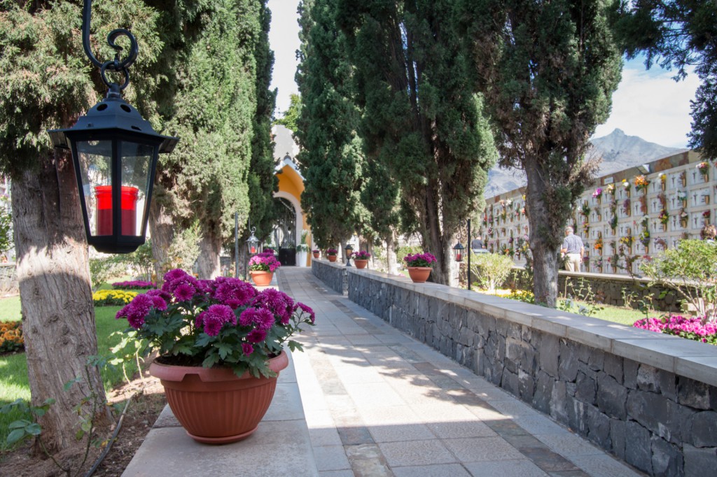 El Cementerio de Adeje luce sus mejores flores con motivo del "Día de Todos los Santos y Fieles Difuntos"