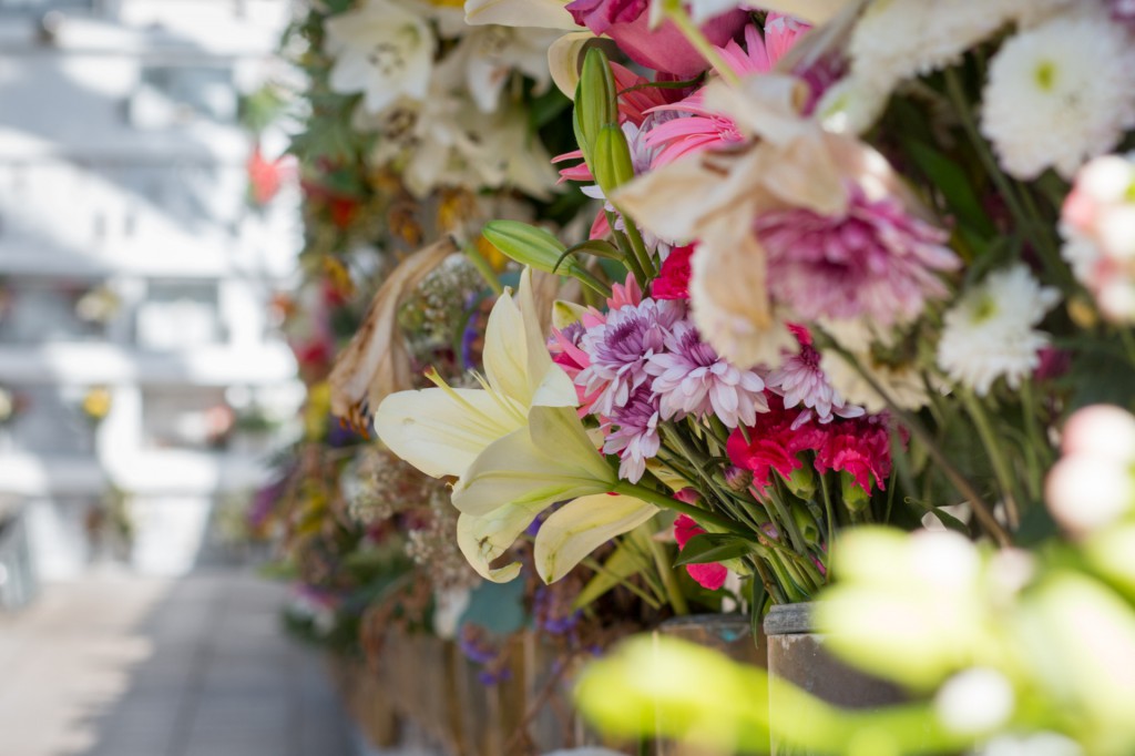 El Cementerio de Adeje luce sus mejores flores con motivo del "Día de Todos los Santos y Fieles Difuntos"