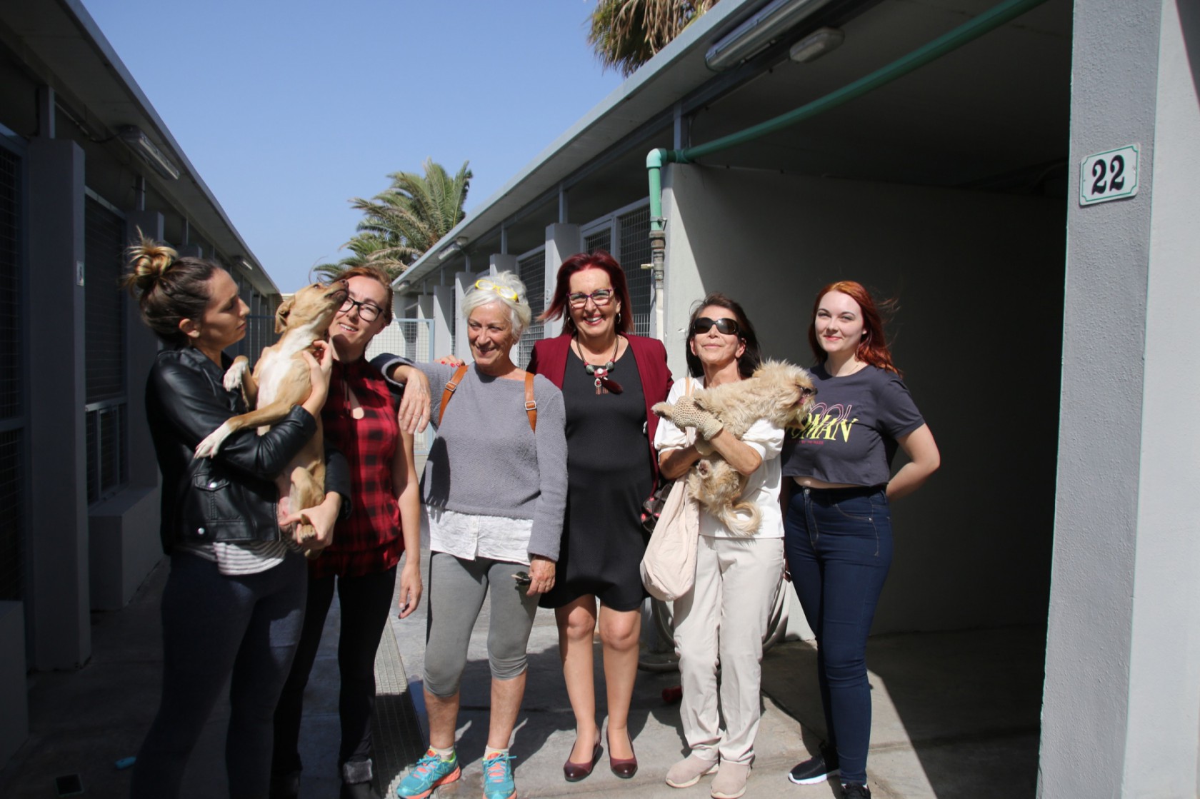 El voluntariado del Centro Integral de Acogida de Animales de Adeje ya está operativo