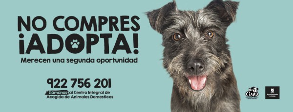 Adeje lanza una campaña para fomentar la adopción de los perros abandonados en el Centro de Acogida municipal