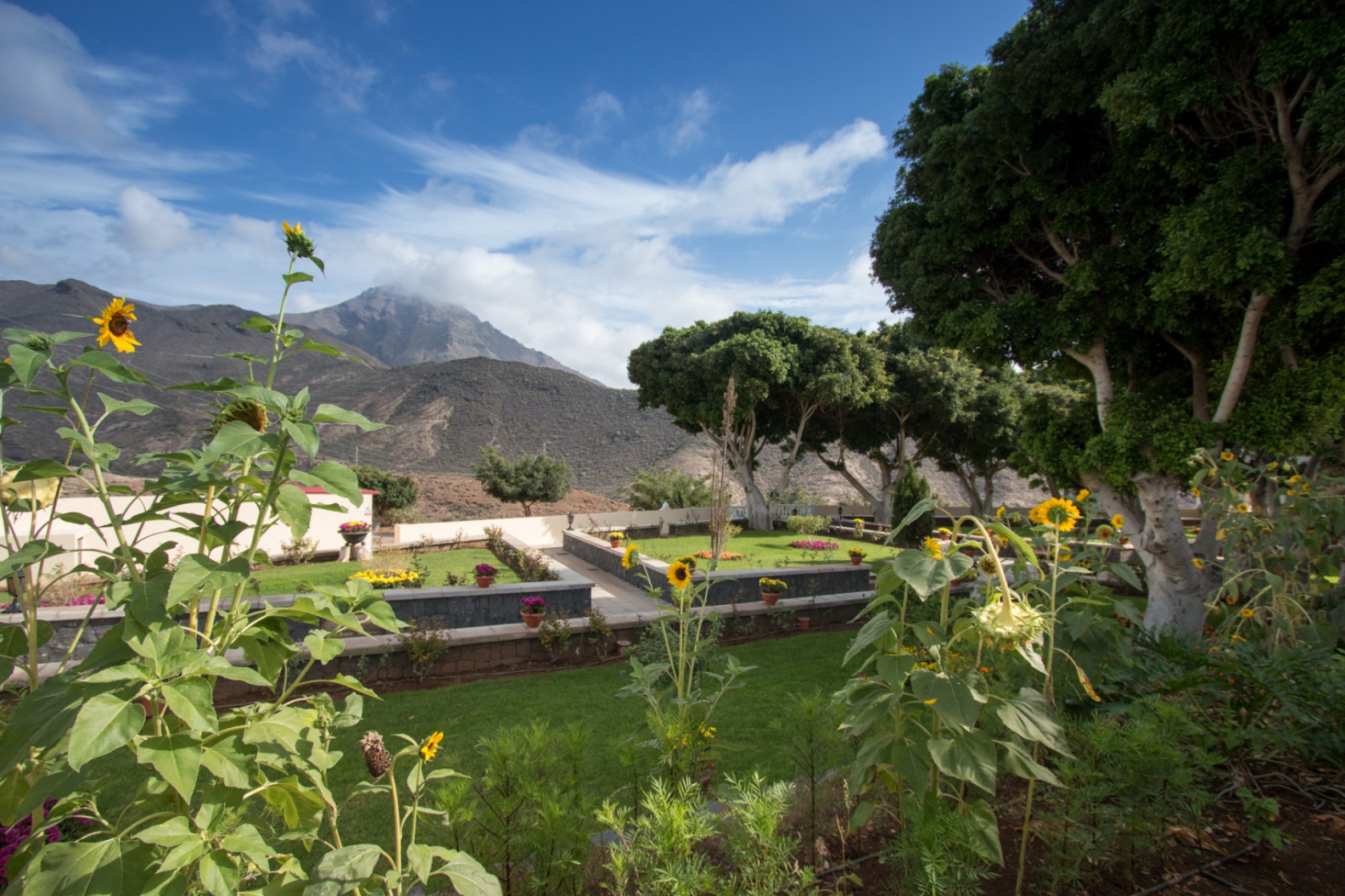 El Cementerio de Adeje se prepara para el "Día de Todos los Santos y Fieles Difuntos"
