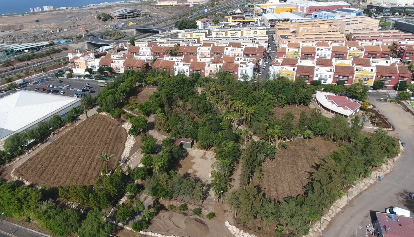 Adeje aprueba una moción institucional sobre la emergencia climática