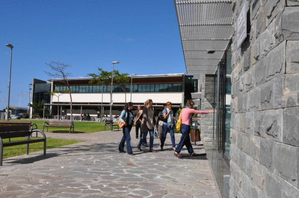 Adeje dispondrá de once certificados de profesionalidad y un proyecto experimental de empleo de cara a este 2020