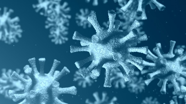 El Gobierno de Canarias activa el protocolo por coronavirus tras un primer positivo en un ciudadano italiano