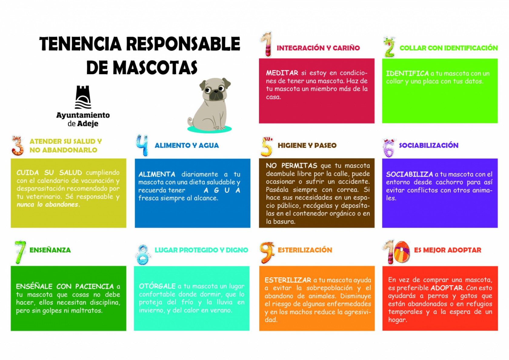 El Ayuntamiento recuerda que las mascotas no son juguetes