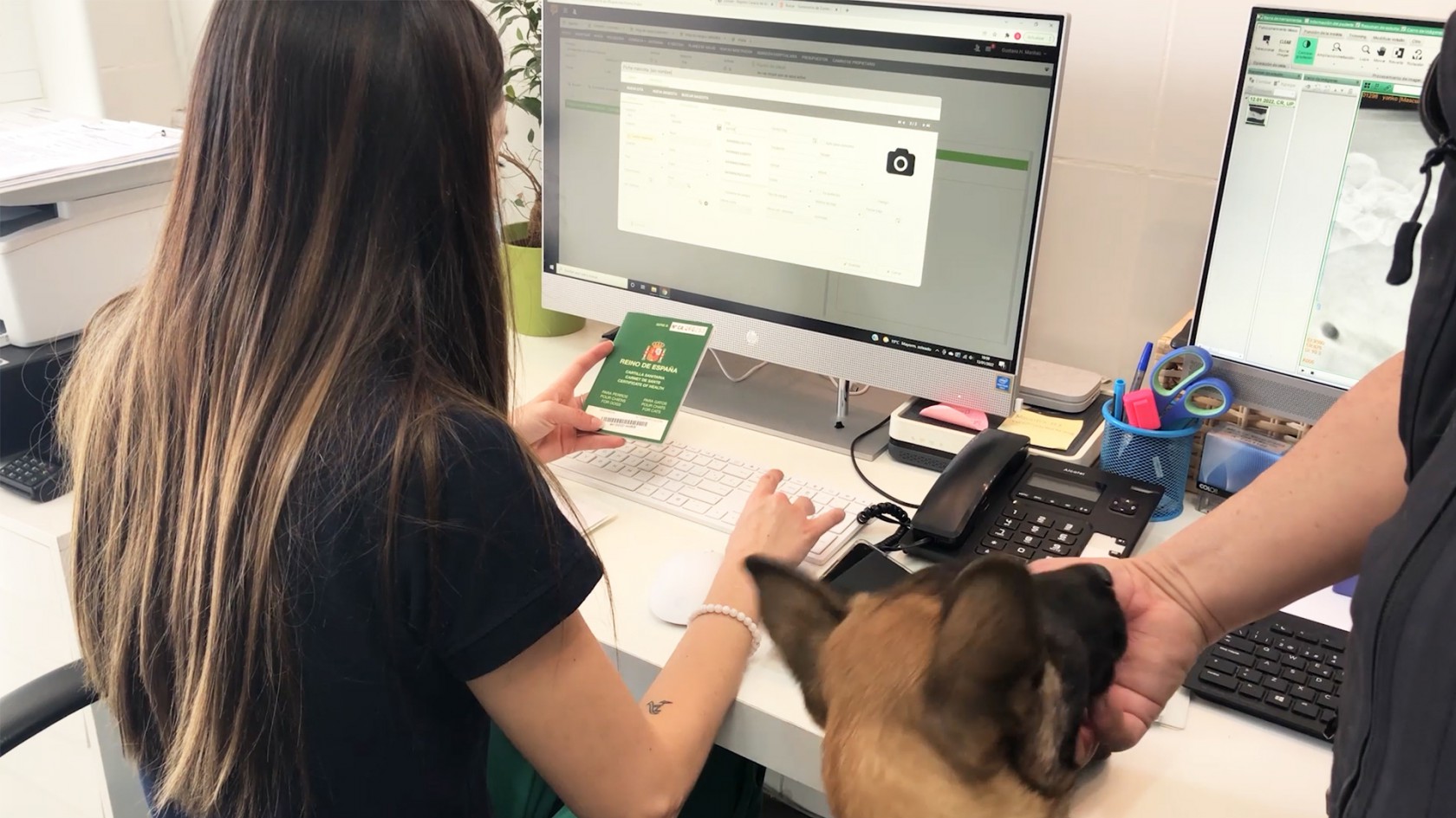 Conde, el perro policía recibe su microchip