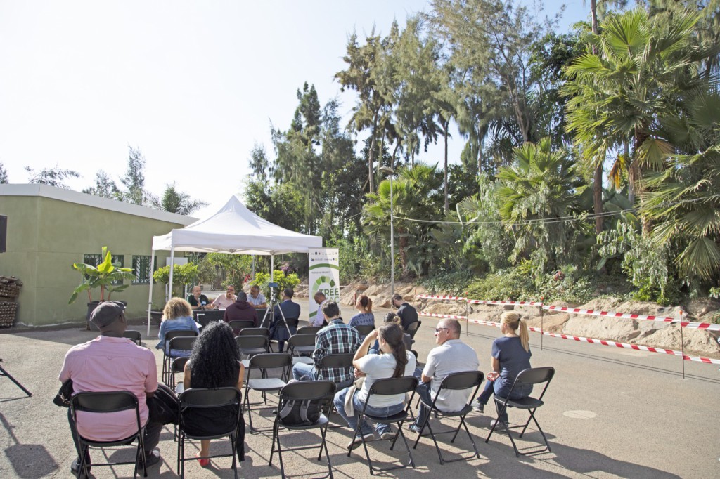 El parque central de Adeje, un modelo de bosque productivo