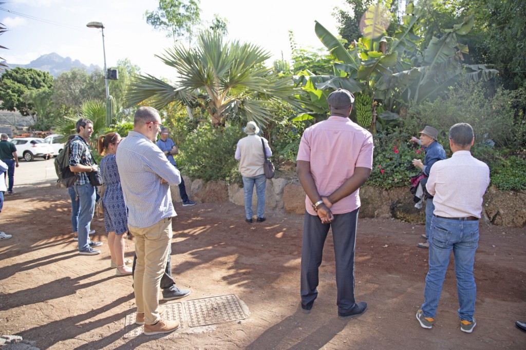 El parque central de Adeje, un modelo de bosque productivo