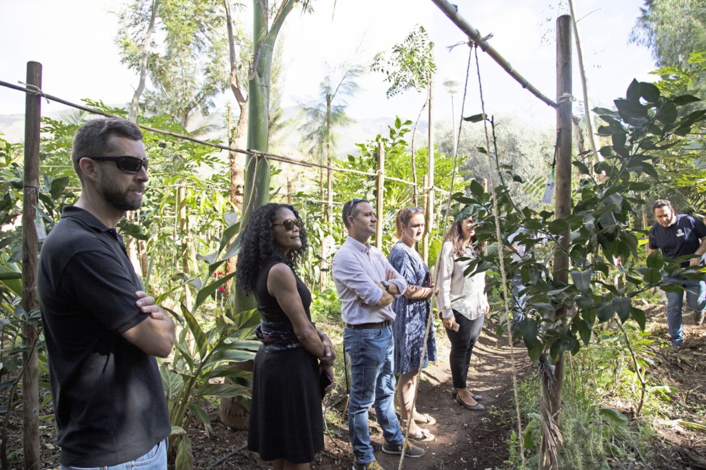 El parque central de Adeje, un modelo de bosque productivo