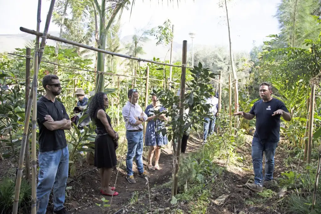 El parque central de Adeje, un modelo de bosque productivo