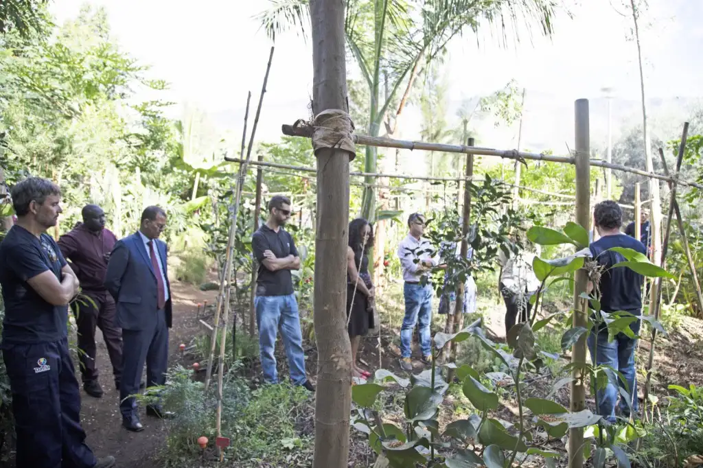 El parque central de Adeje, un modelo de bosque productivo