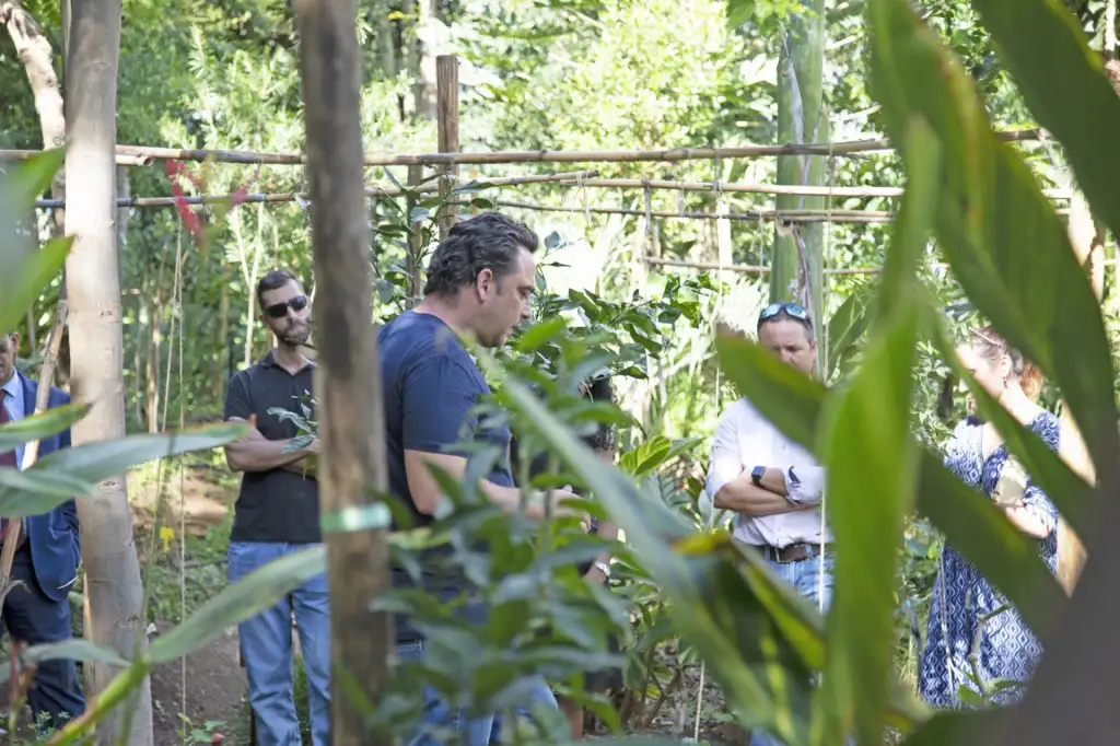 El parque central de Adeje, un modelo de bosque productivo