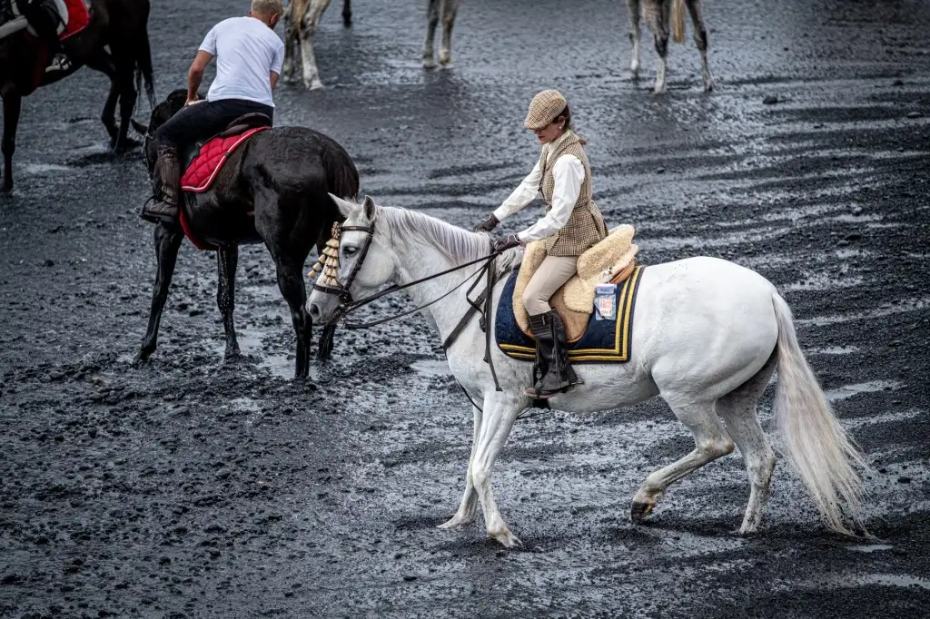 Más de cien caballos acompañan a San Sebastián en su entrada al mar