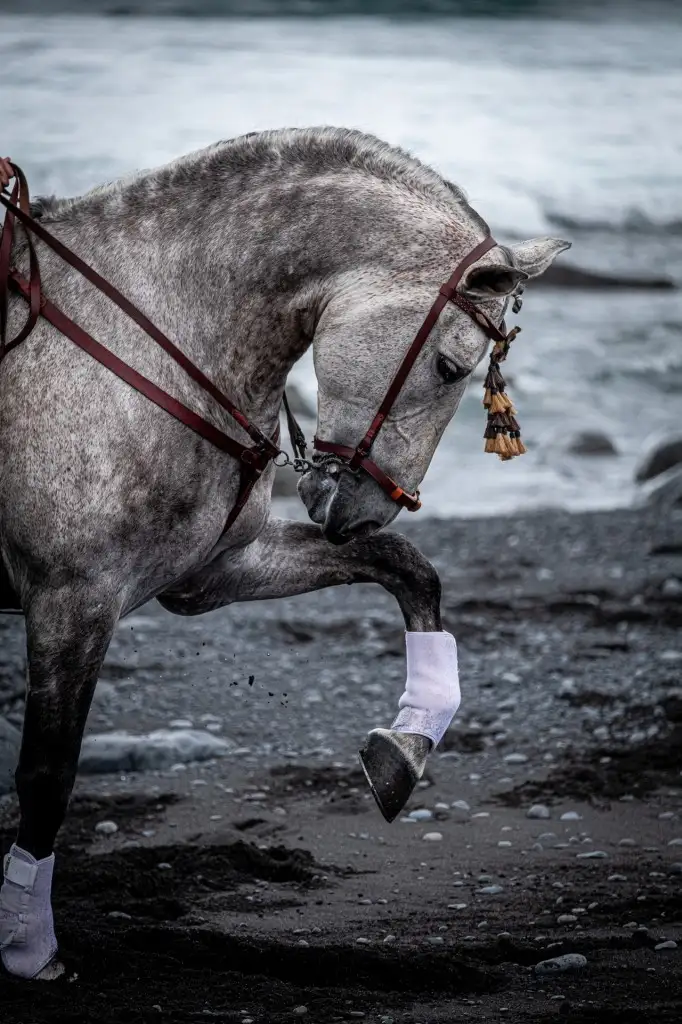 Más de cien caballos acompañan a San Sebastián en su entrada al mar