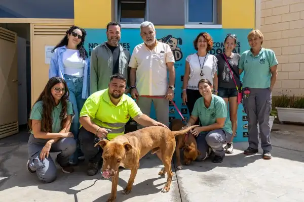 19 perros han sido adoptados este año en el Centro Integral de Acogida de Animales Domésticos de Adeje