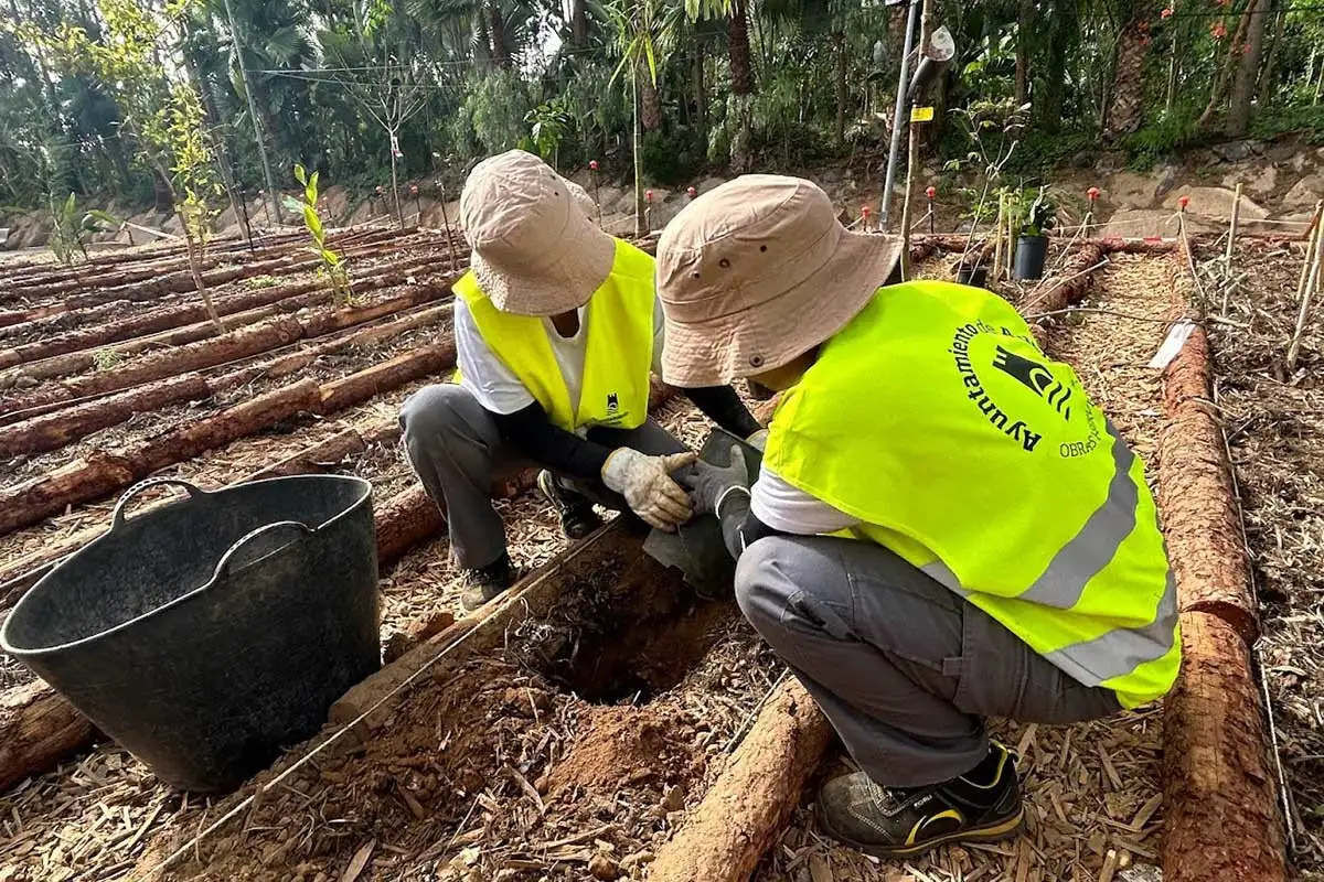 Trabajando en el Bosque de Las Nieves