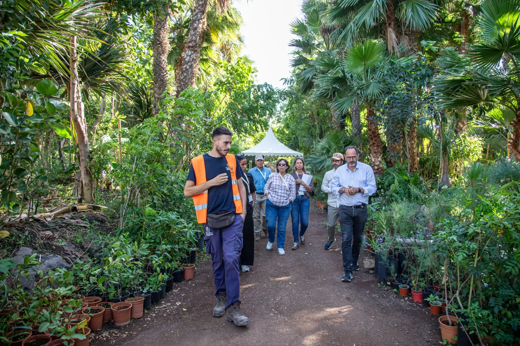 Adeje transfiere su conocimiento en materia de sostenibilidad a otras regiones europeas.