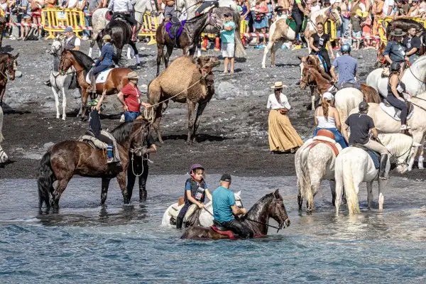 Adeje abre el plazo de inscripci&oacute;n para la participaci&oacute;n de animales en la Fiesta de San Sebasti&aacute;n 2026