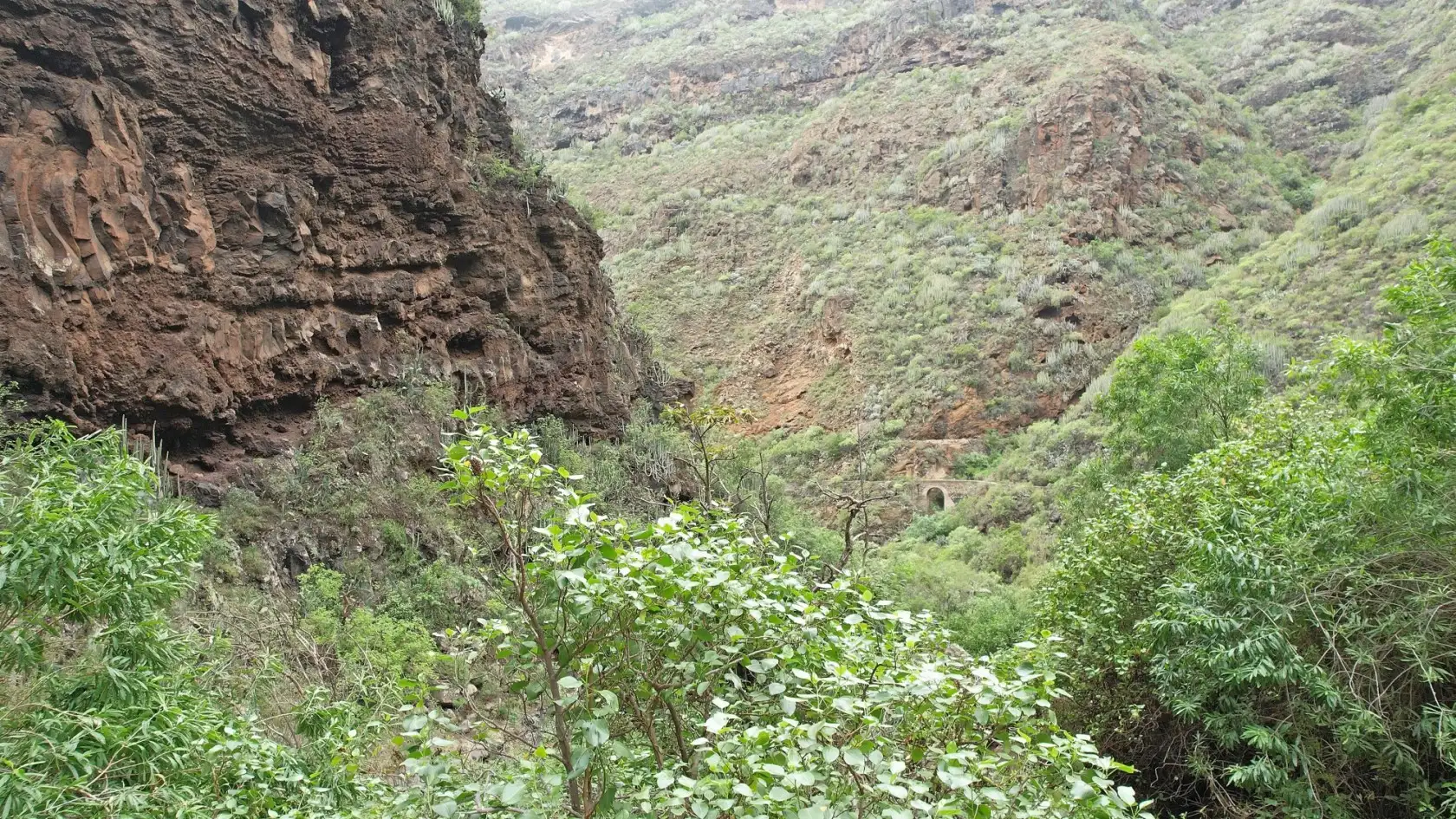 Barranco del Infierno de Adeje