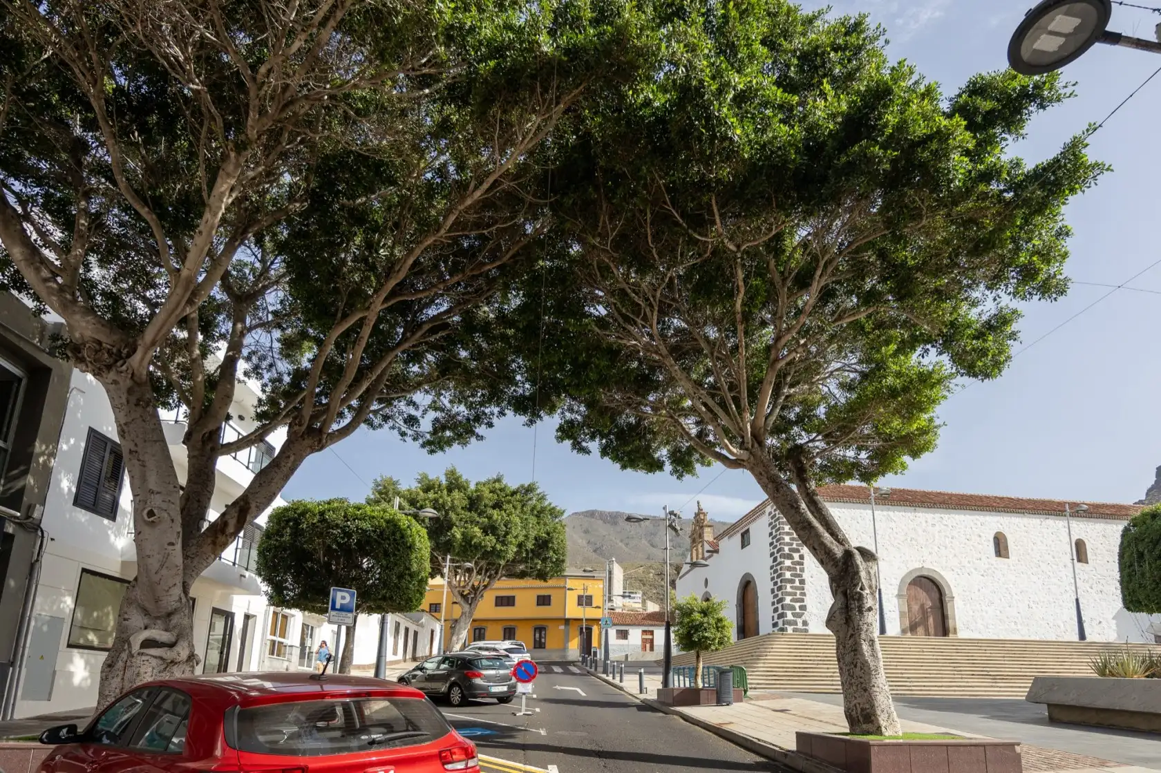 Arboleda tratada en la calle Grande por endoterapia